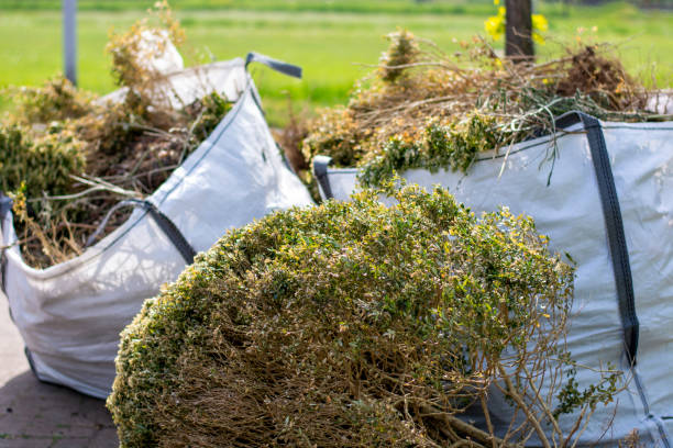 Best Construction Debris Removal  in Mora, MN